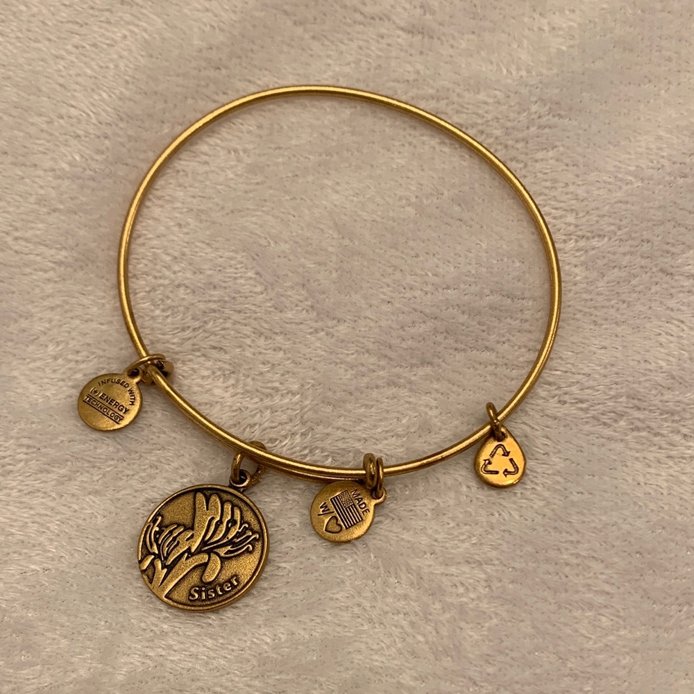 Alex and Ani Gold Charm Bracelet